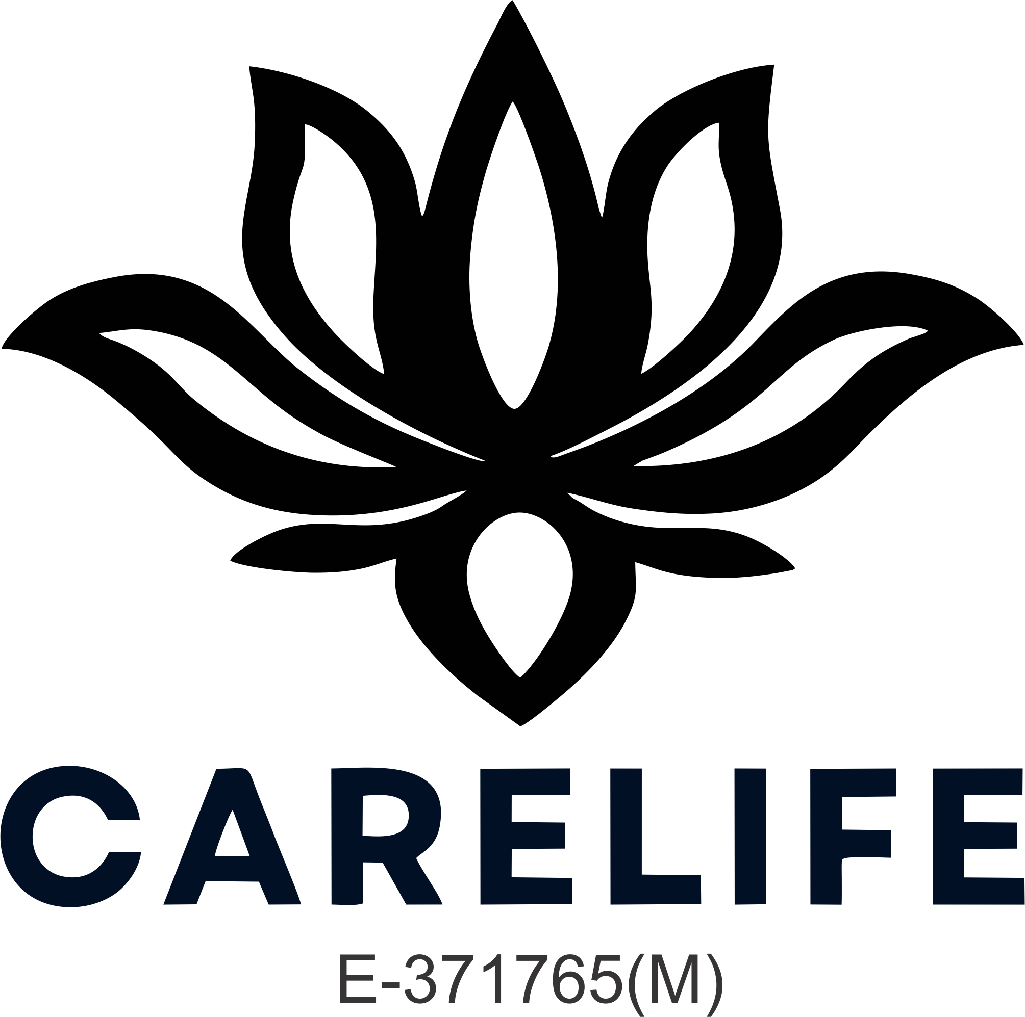 CARE LIFE FOUNDATION